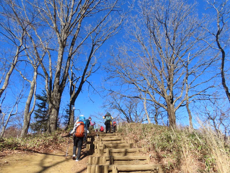 陣馬山