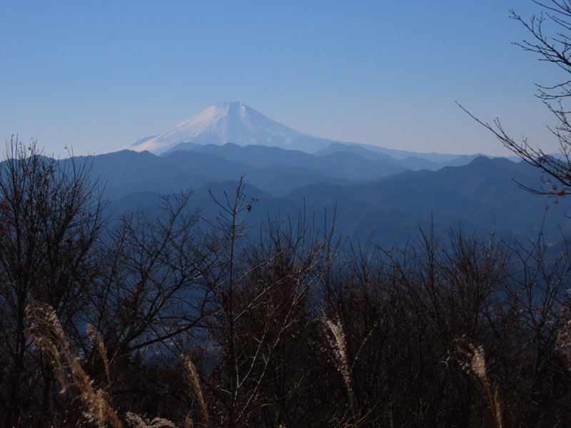 陣馬山