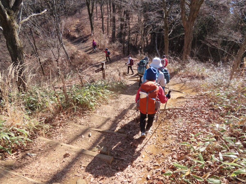 陣馬山