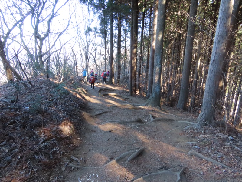 陣馬山