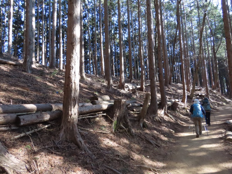 陣馬山