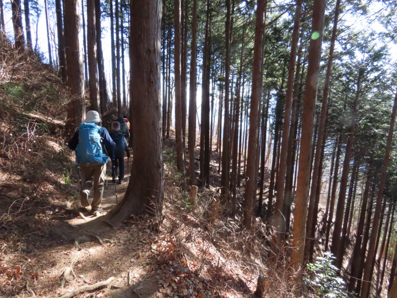 陣馬山