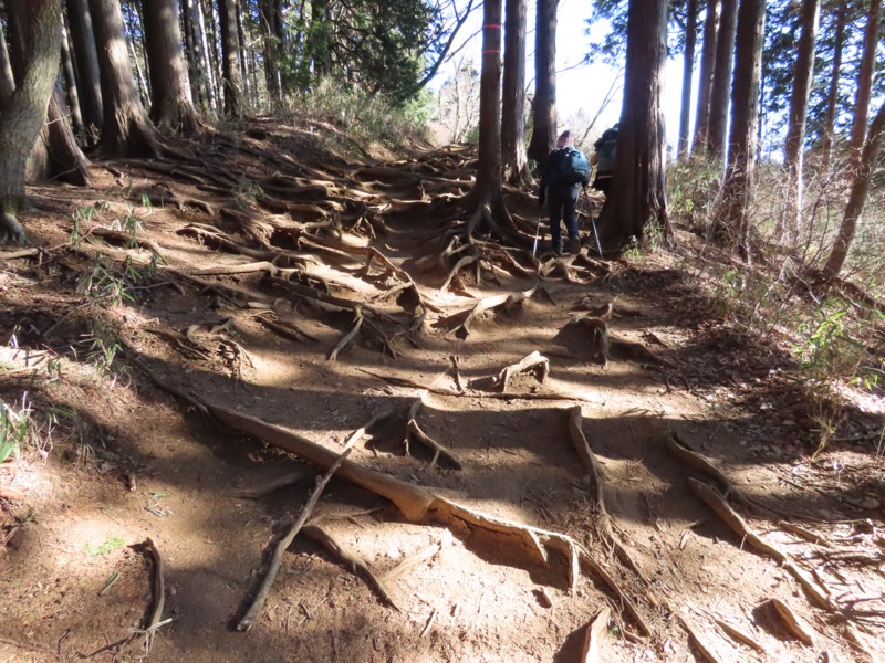 陣馬山