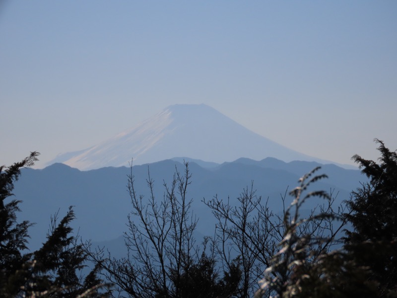 陣馬山