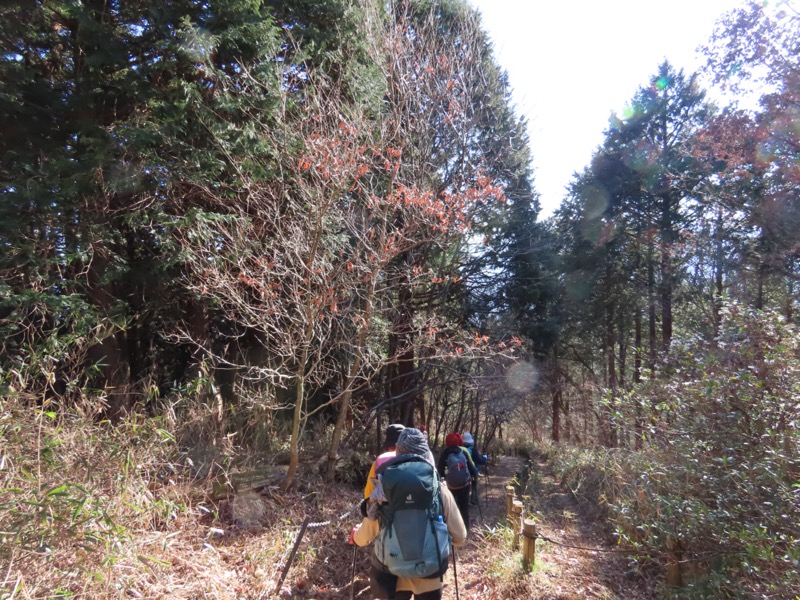 陣馬山