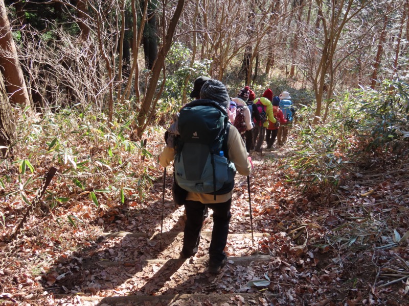 陣馬山