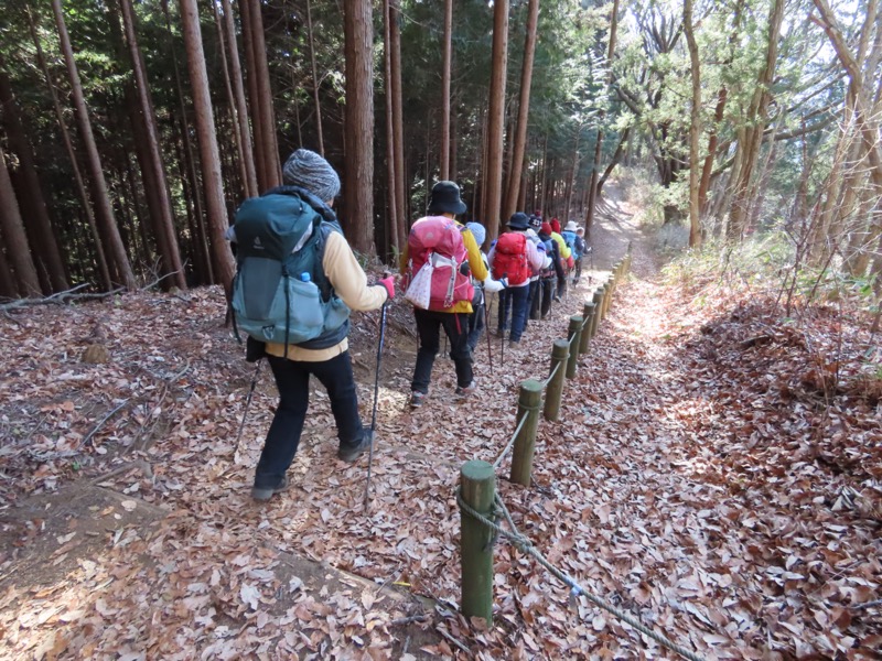 陣馬山