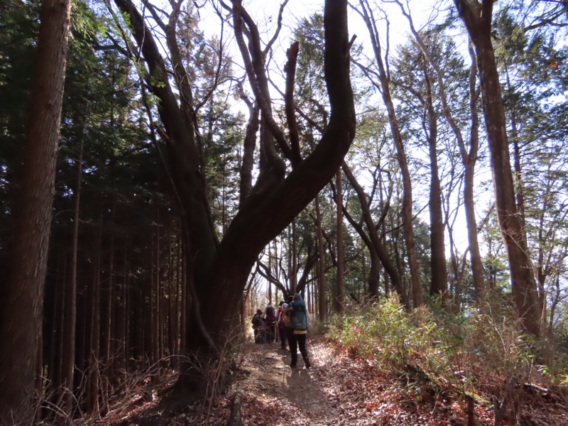 陣馬山