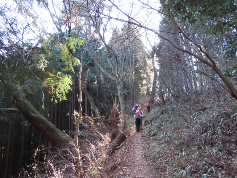 陣馬山