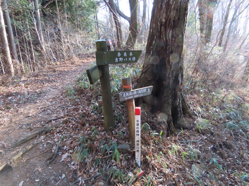 陣馬山