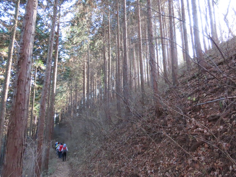 陣馬山