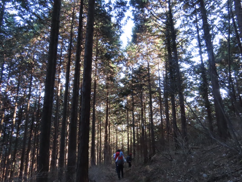 陣馬山