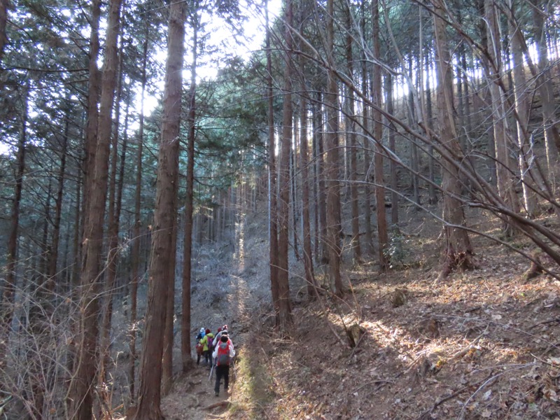 陣馬山