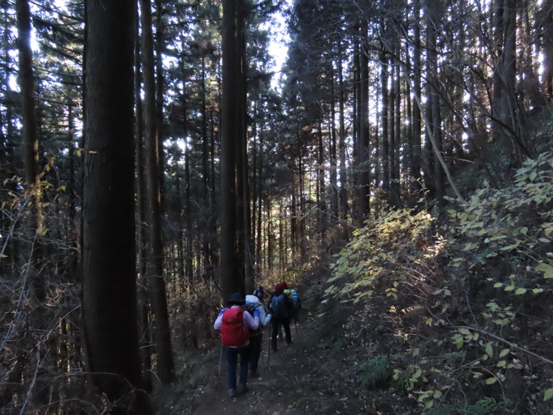 陣馬山