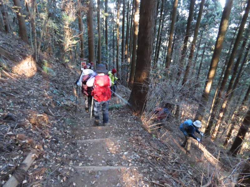 陣馬山