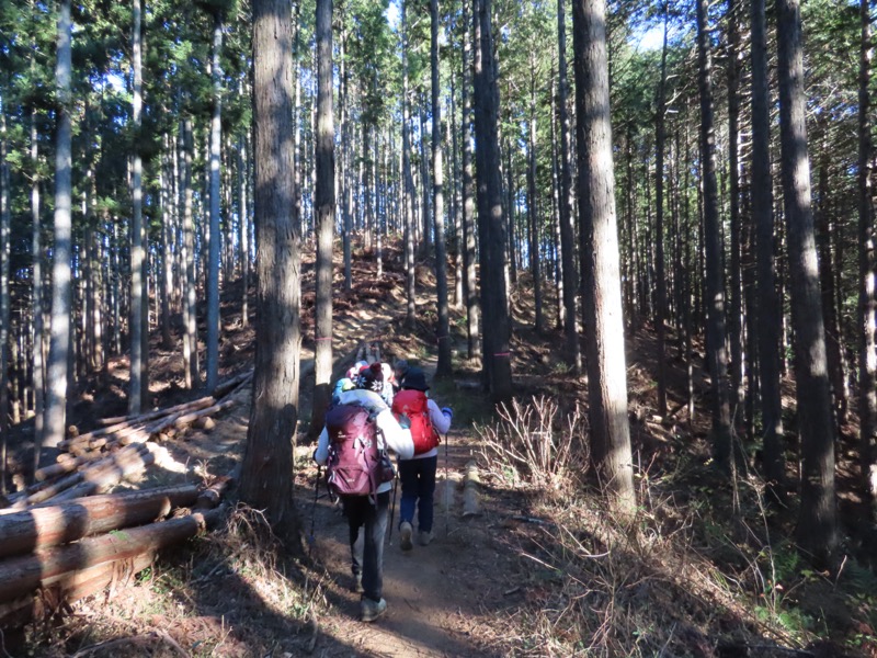 陣馬山