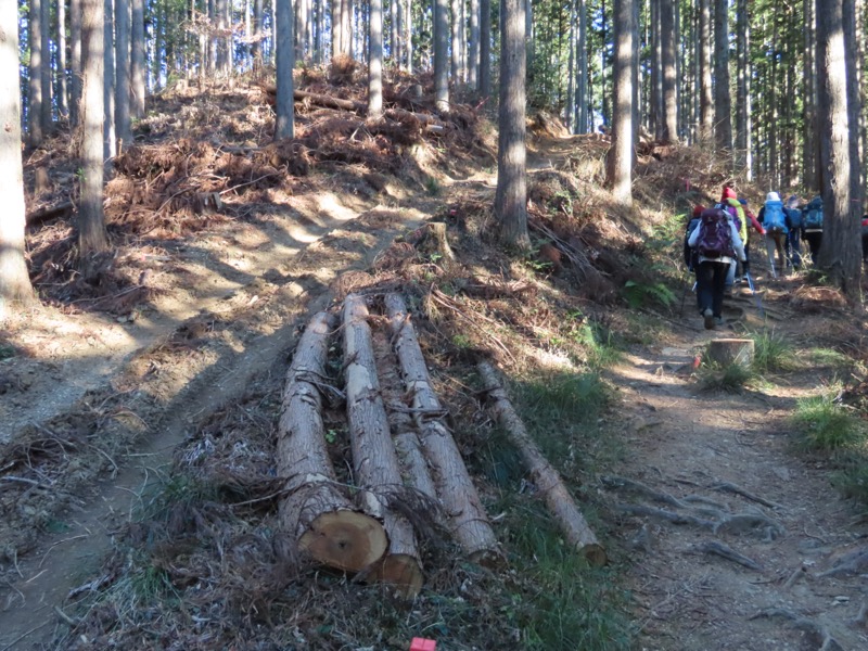 陣馬山