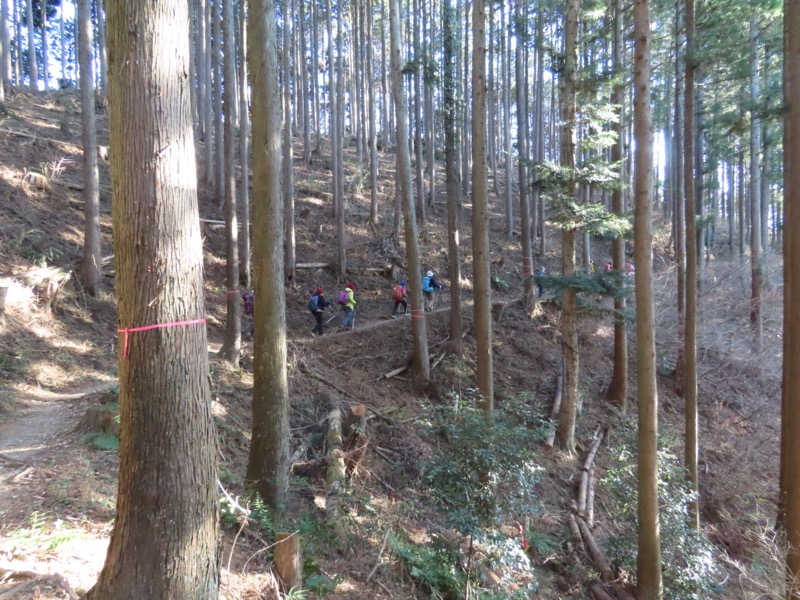 陣馬山