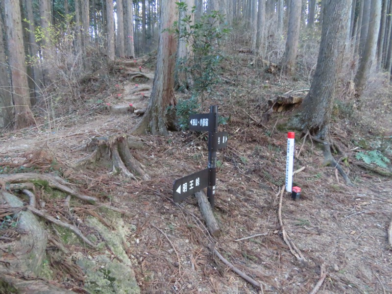 陣馬山