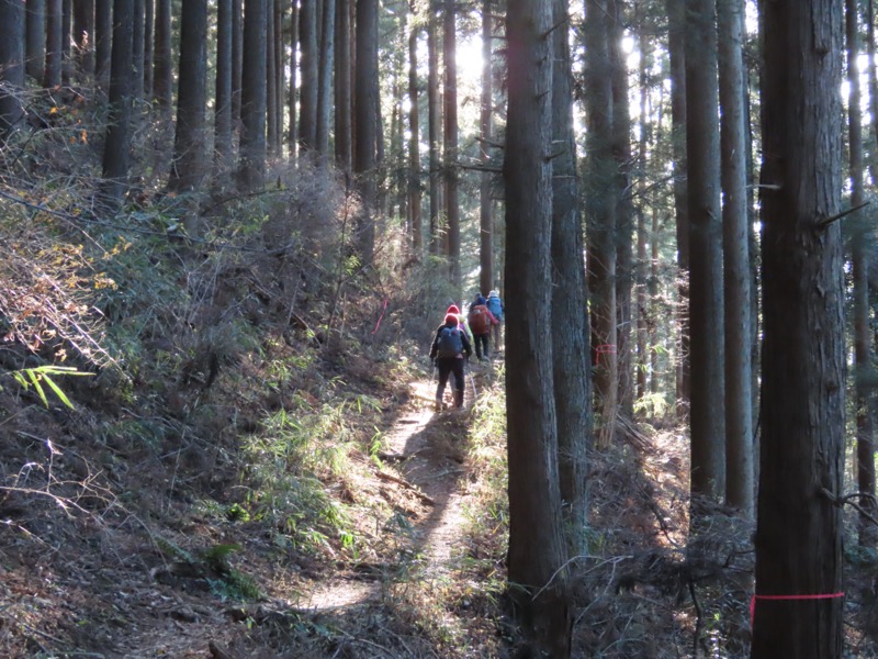 陣馬山