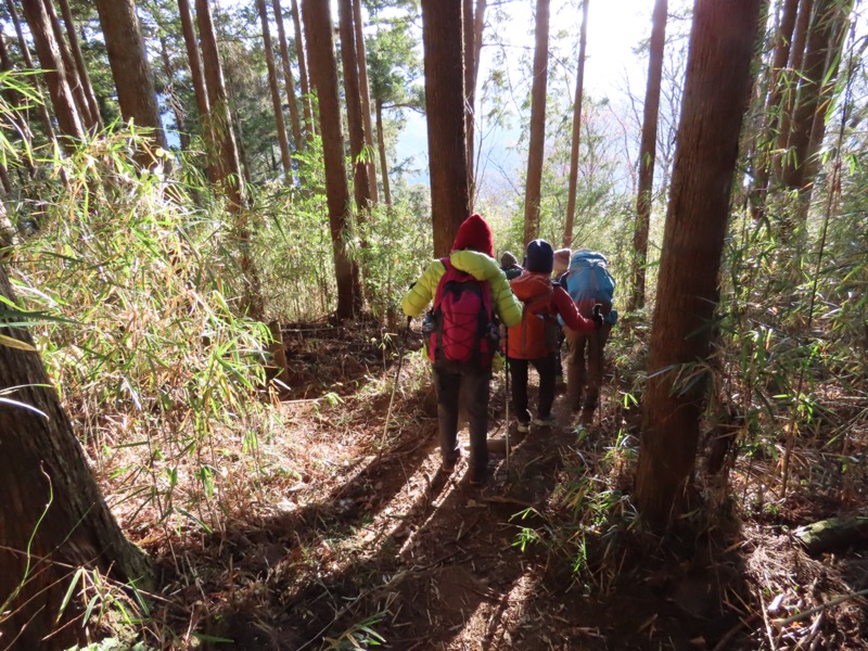 陣馬山