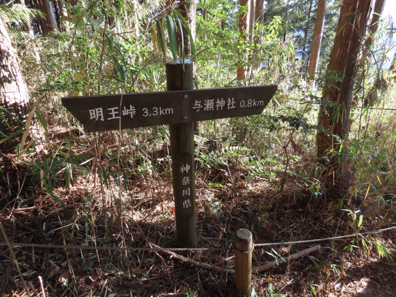 陣馬山