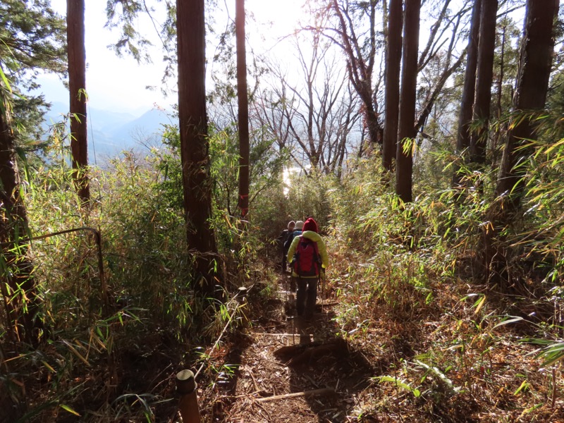 陣馬山