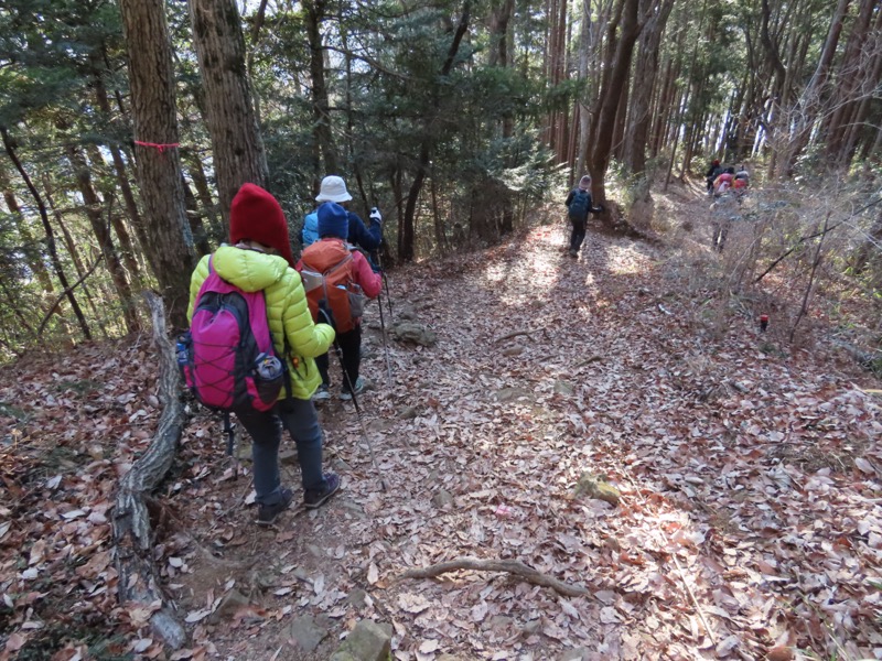 陣馬山