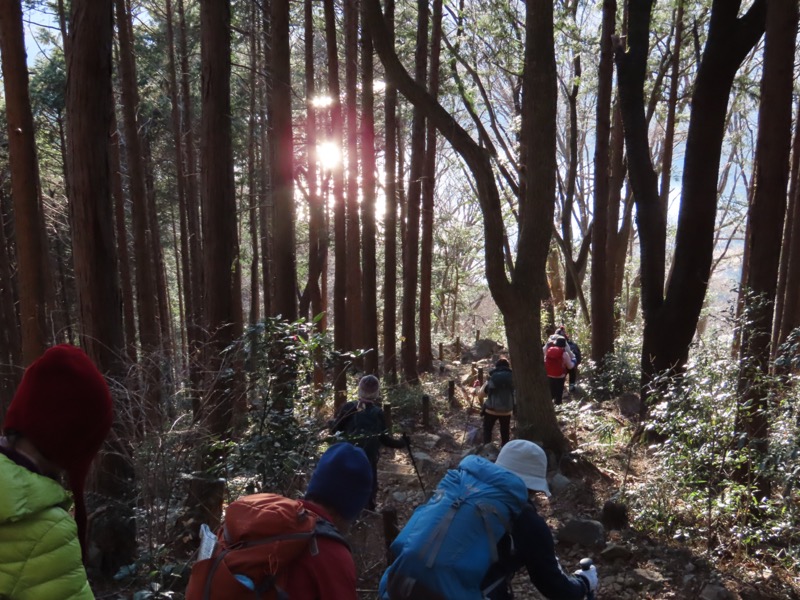 陣馬山