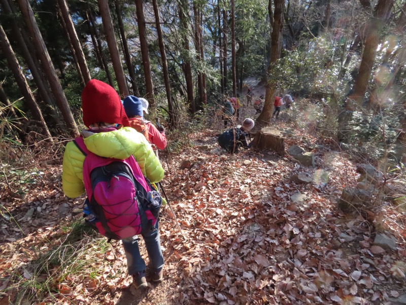 陣馬山