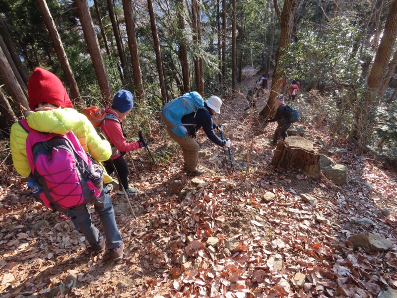 陣馬山