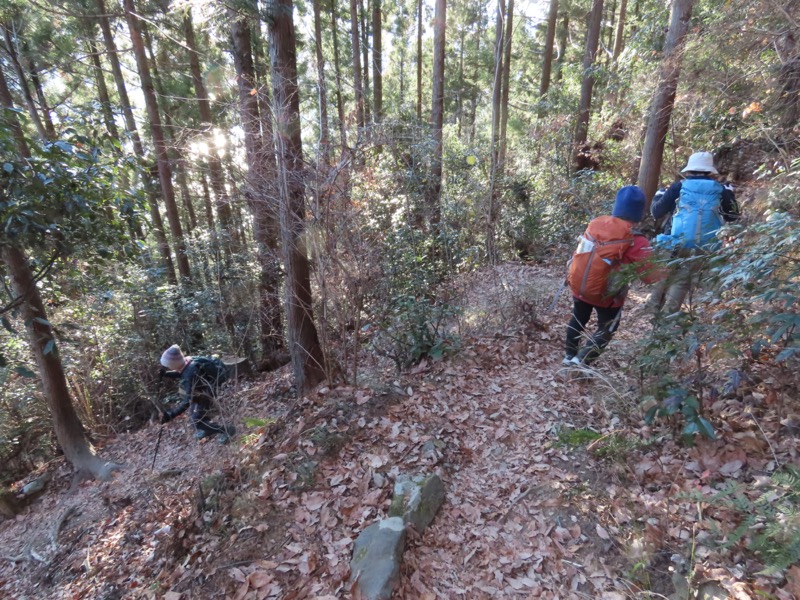 陣馬山