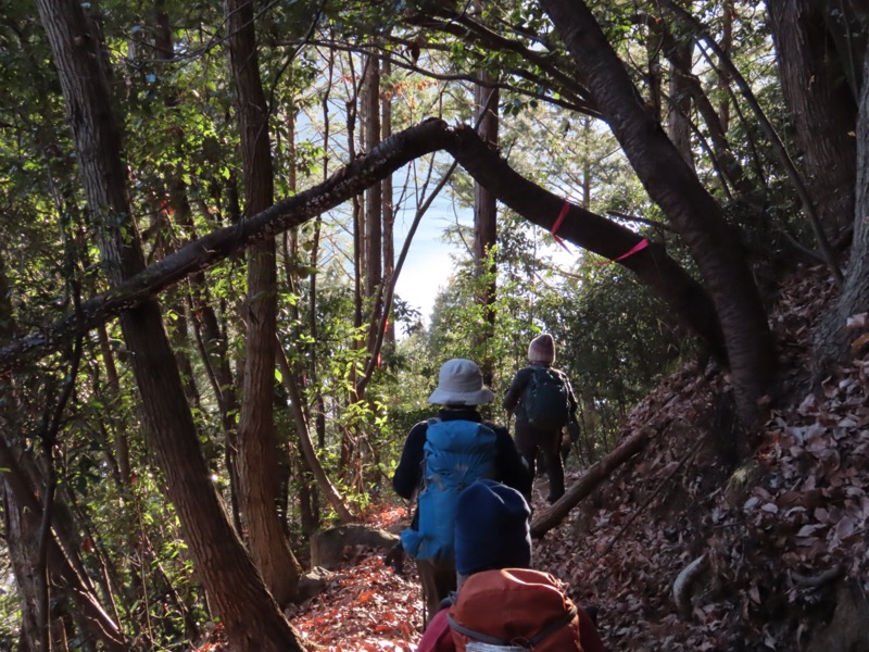 陣馬山