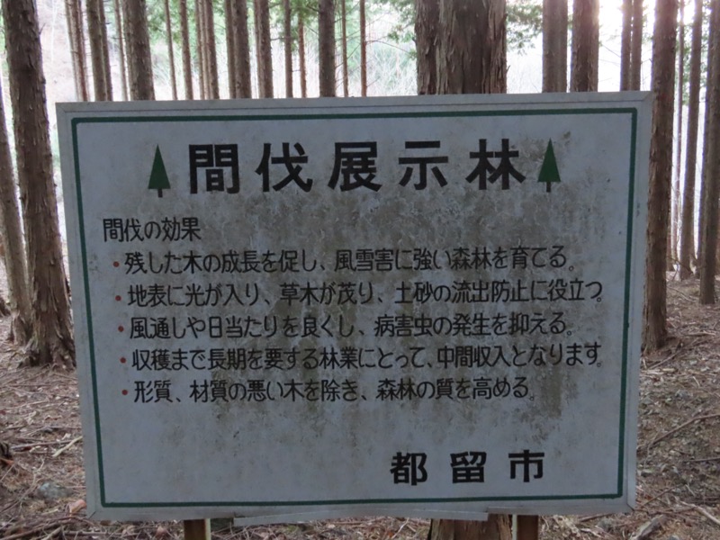 二十六夜山