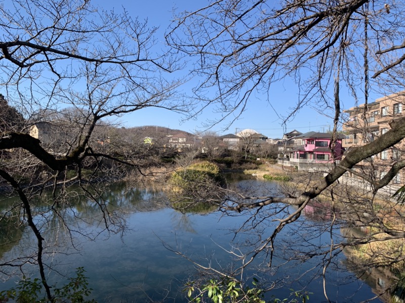 渋沢丘陵