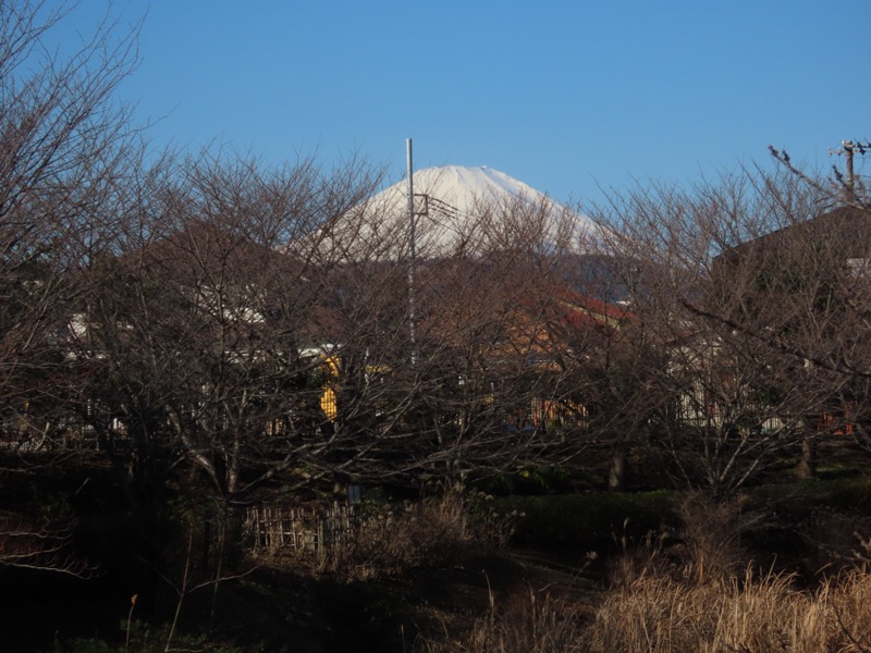 渋沢丘陵