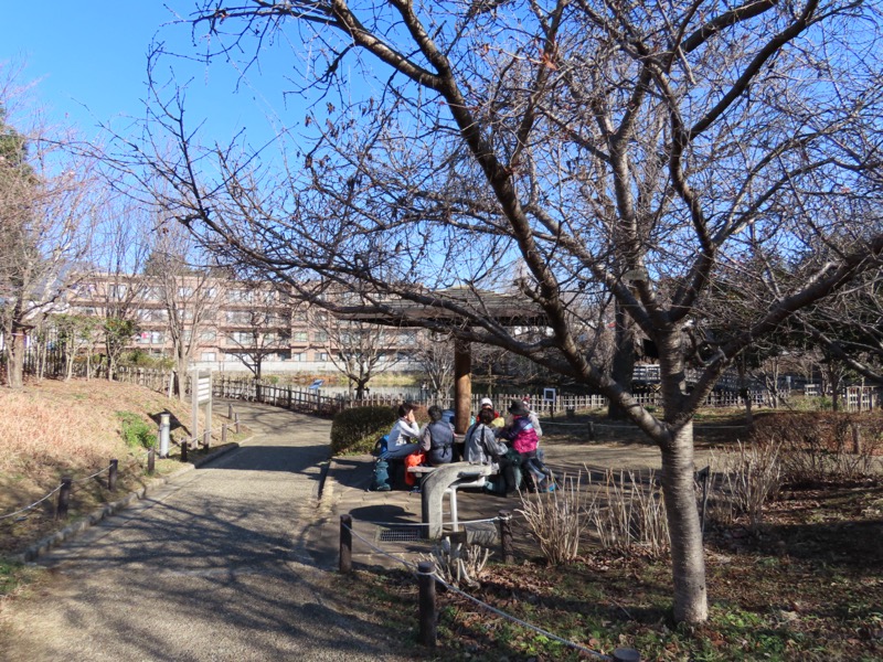 渋沢丘陵