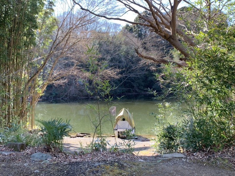 渋沢丘陵