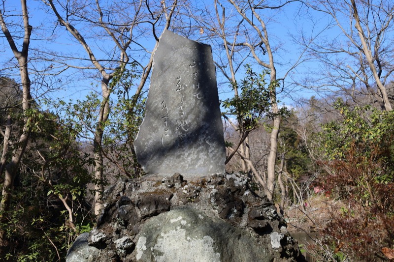 渋沢丘陵