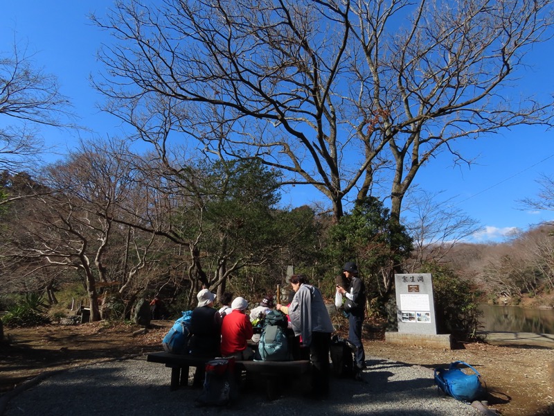 渋沢丘陵