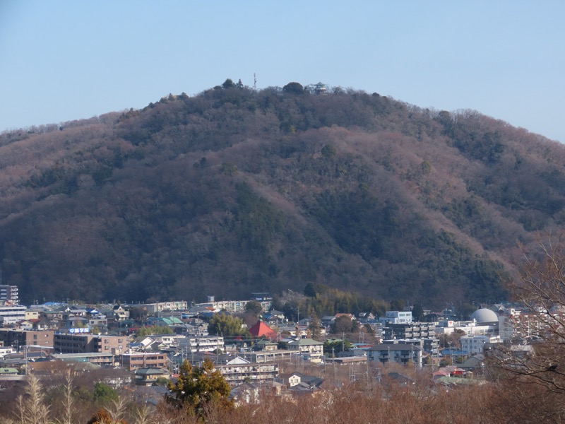 渋沢丘陵