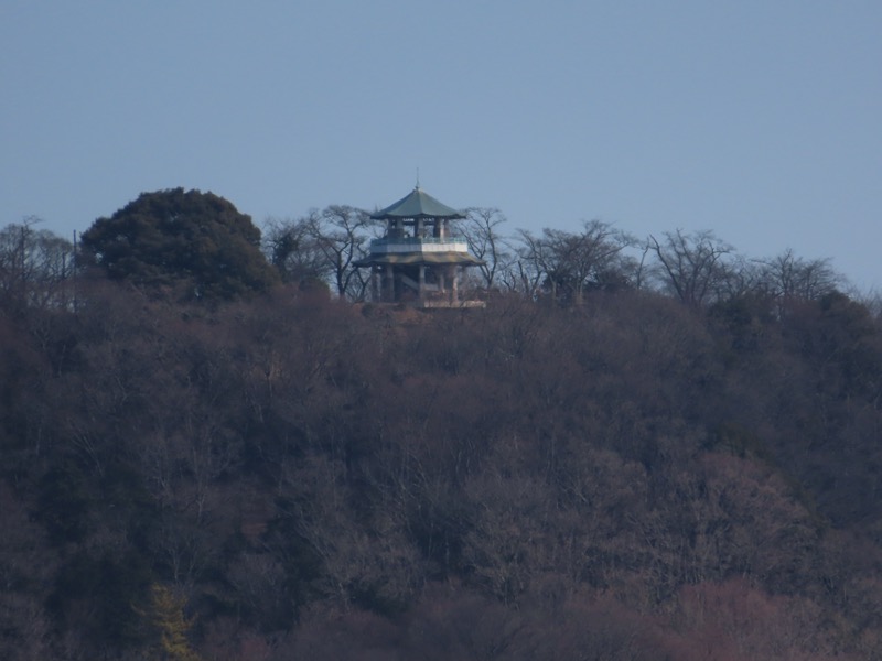 渋沢丘陵