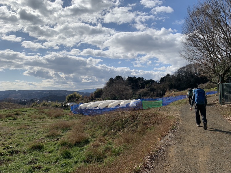 渋沢丘陵