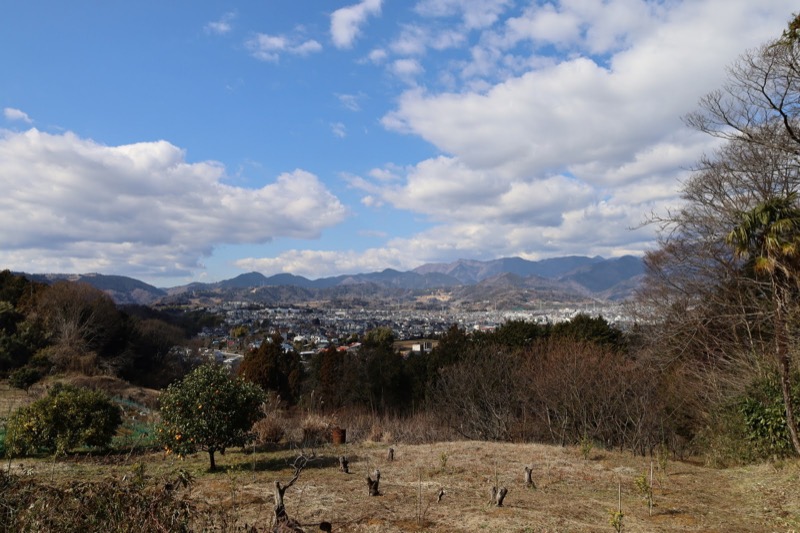 渋沢丘陵