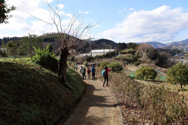 渋沢丘陵