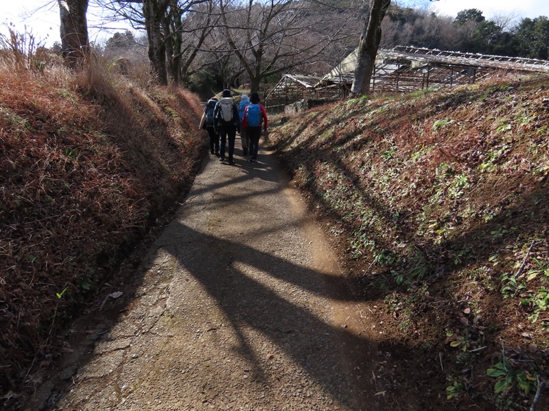 渋沢丘陵