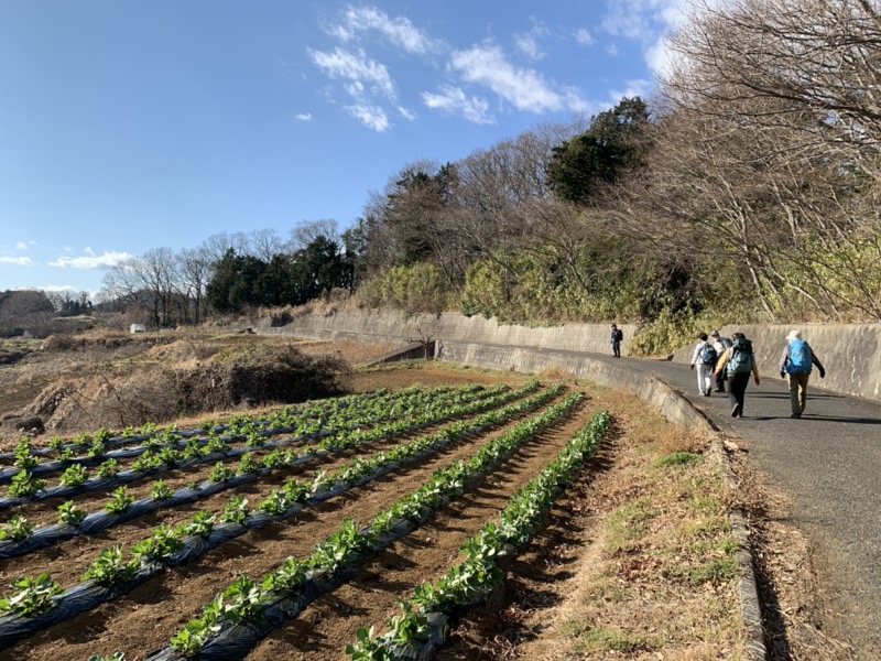 渋沢丘陵