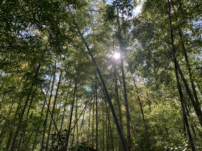 渋沢丘陵