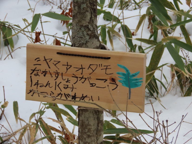 守屋山