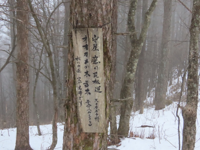 守屋山